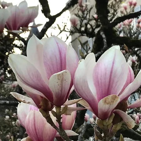 D'hotes Bienvenue 3* LʼAbsie