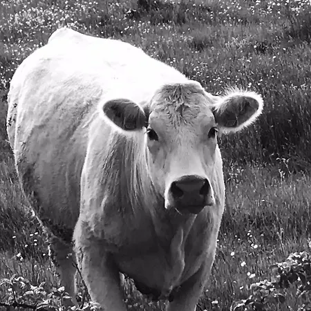 D'hotes Bienvenue Bed & Breakfast 3*