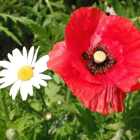 D'hotes Bienvenue 3*