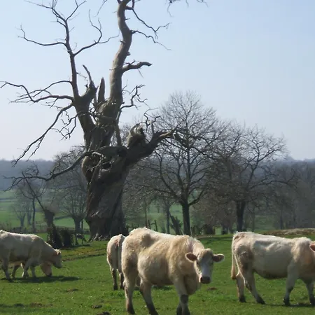 D'hotes Bienvenue 3* LʼAbsie