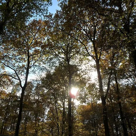 Bed & Breakfast D'hotes Bienvenue L'Absie