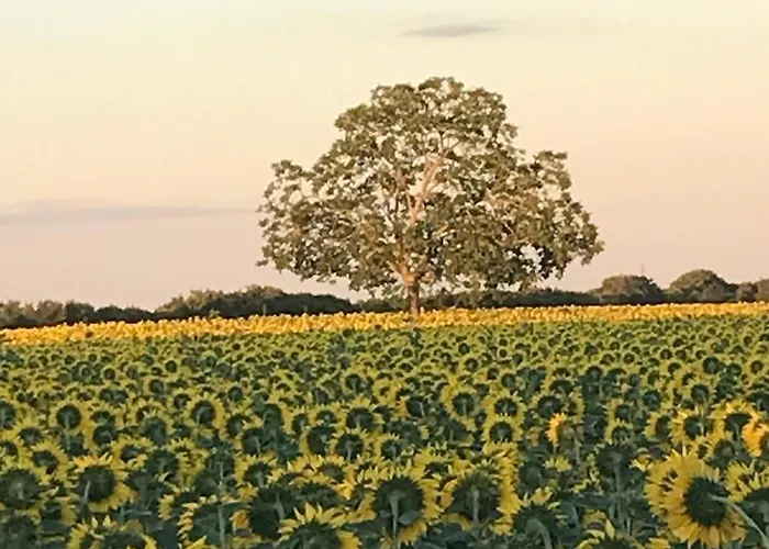 D'hotes Bienvenue Oda ve Kahvaltı