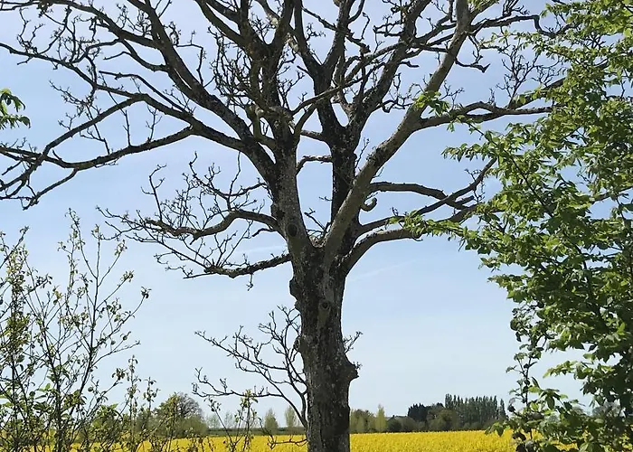 D'hotes Bienvenue LʼAbsie